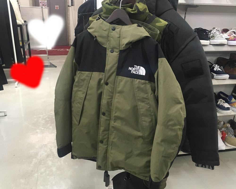 the north face mountain down jacket 2018
