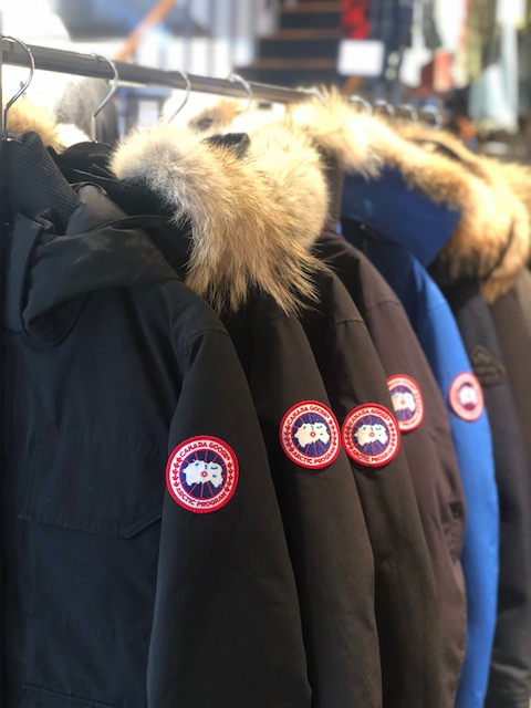 ブランタの美しさと希少性-「CANADA GOOSE - Branta Collection